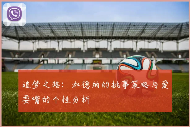 追梦之路：加德纳的挑事策略与爱耍嘴的个性分析