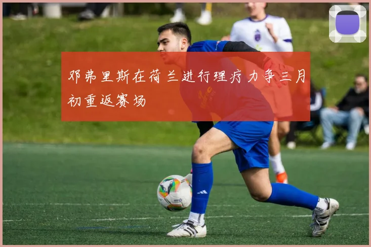 邓弗里斯在荷兰进行理疗力争三月初重返赛场
