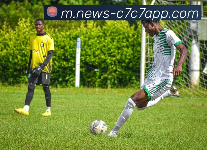 App Interface Preview